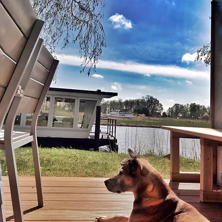 Urlauberschiff Neptun Im Ostseebad