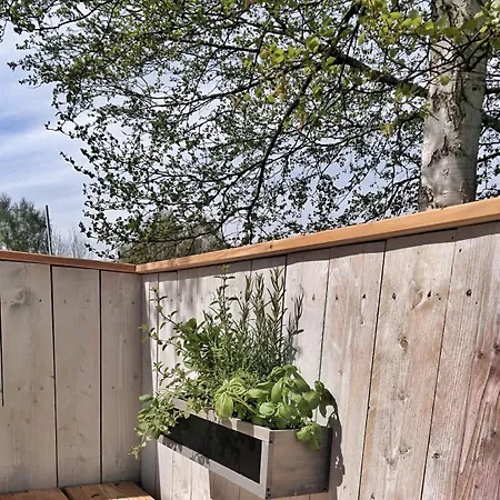 Urlauberschiff Neptun Im Ostseebad *